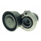 Kangoo Alternatör Kayışı Gergi Bilyası 2003-2021